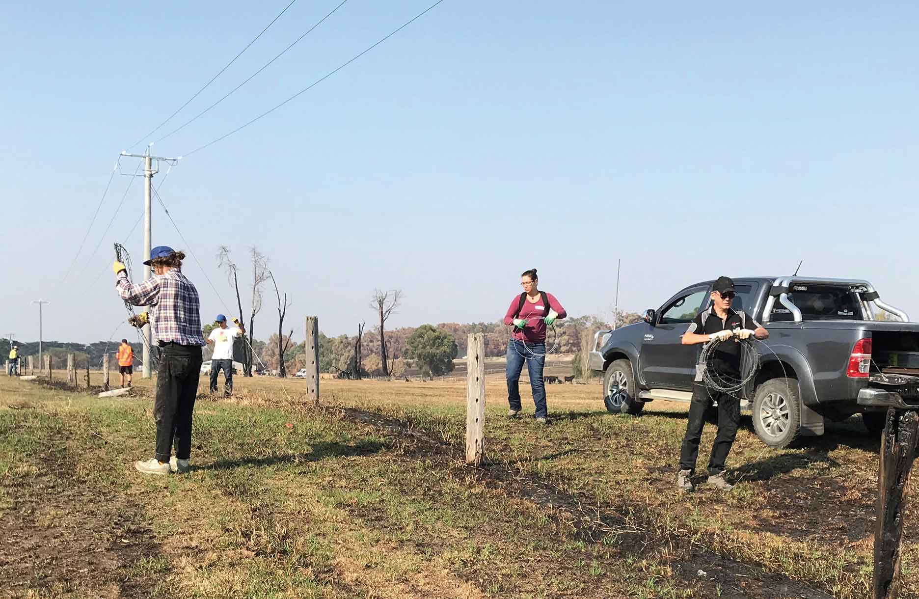 In March 2019 Windana and Intrepid Landcare participants assisted a farmer with fire recovery work after the Bunyip Forest fires. 