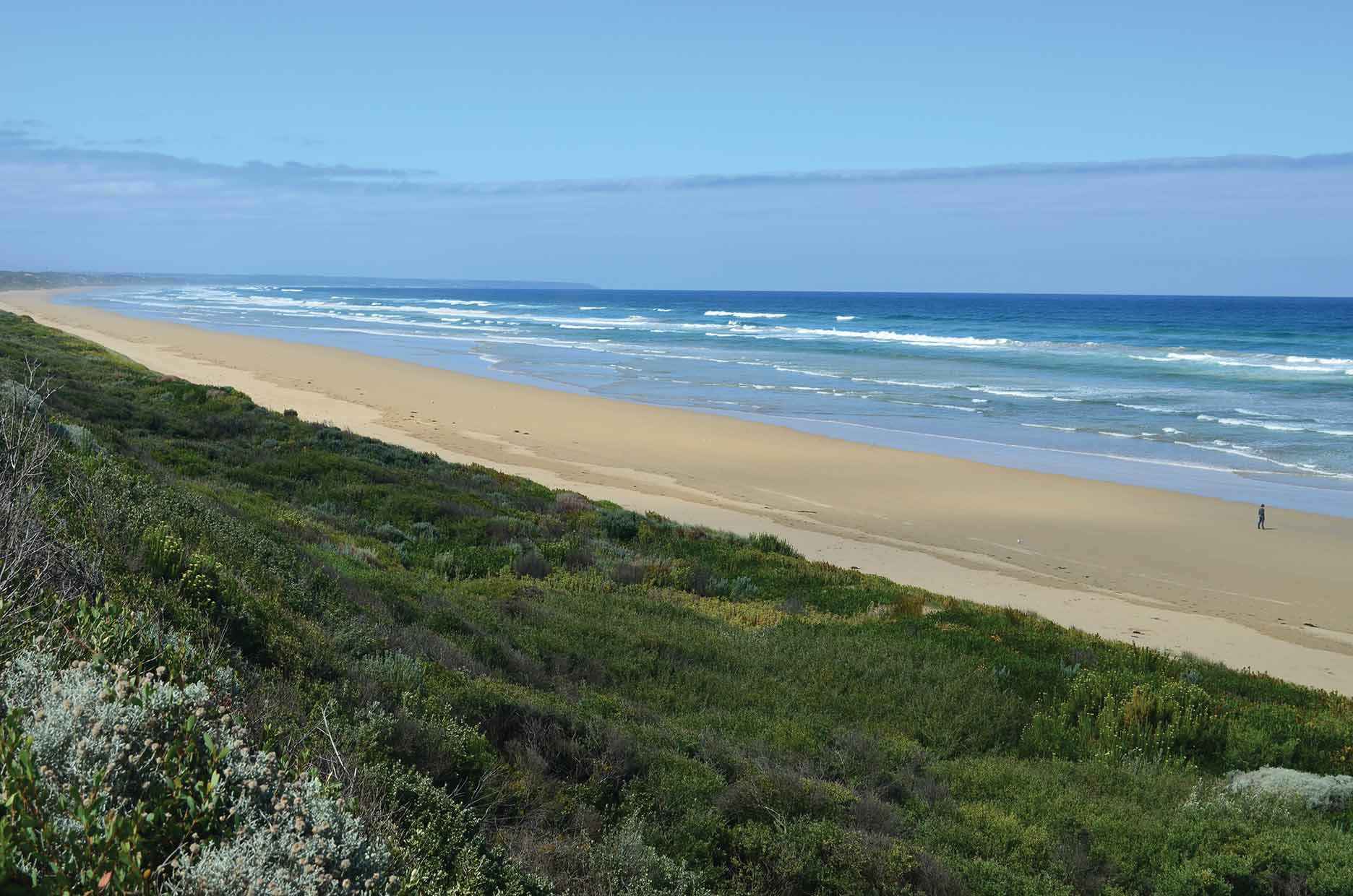 The Bunurong coast at Venus Bay, South Gippsland. The area has high biodiversity values.