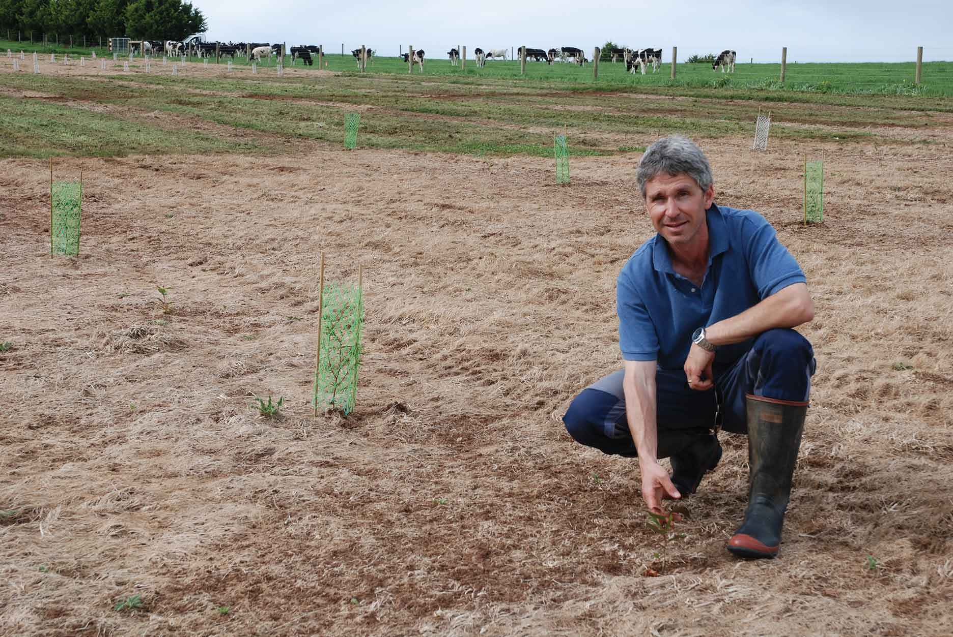 Clinton Tepper checking the trees on the multi-storey farming trial site in 2014.