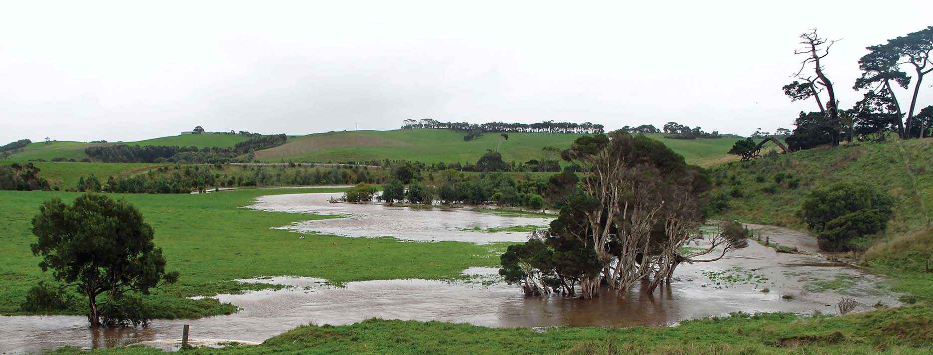Revegetation work undertaken by the Fish Creek Landcare Group helped to reduce erosion in the floods of April 2011.