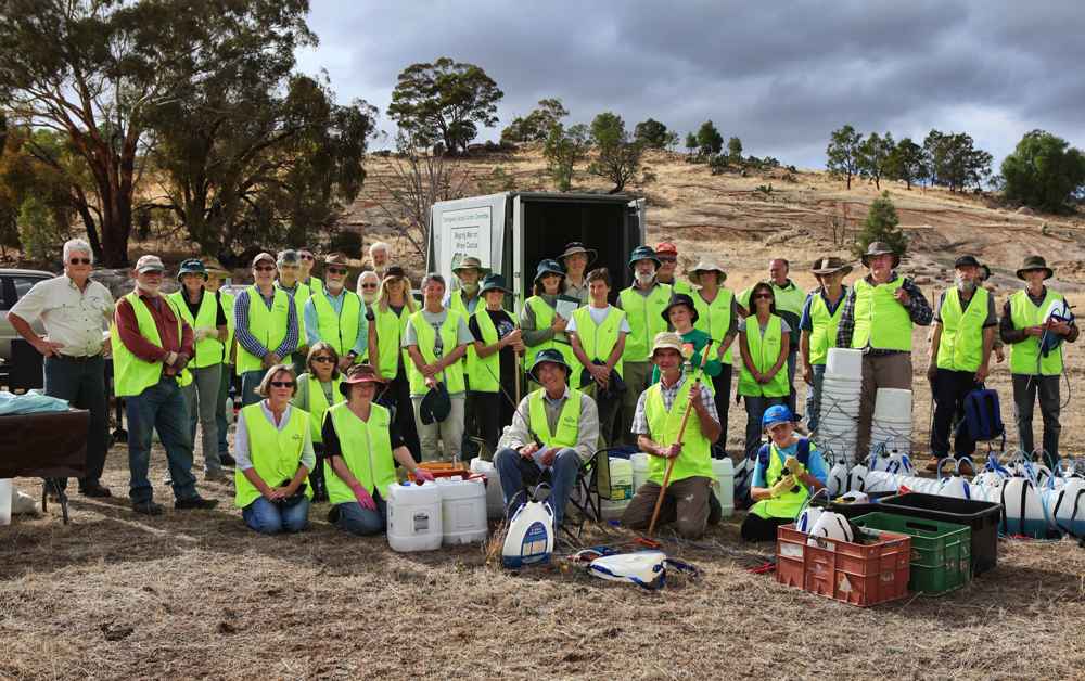 Tarrangower Cactus Control Group volunteers ready for a community field day in 2013. Many hundreds of community members have been involved over the years. <br />
