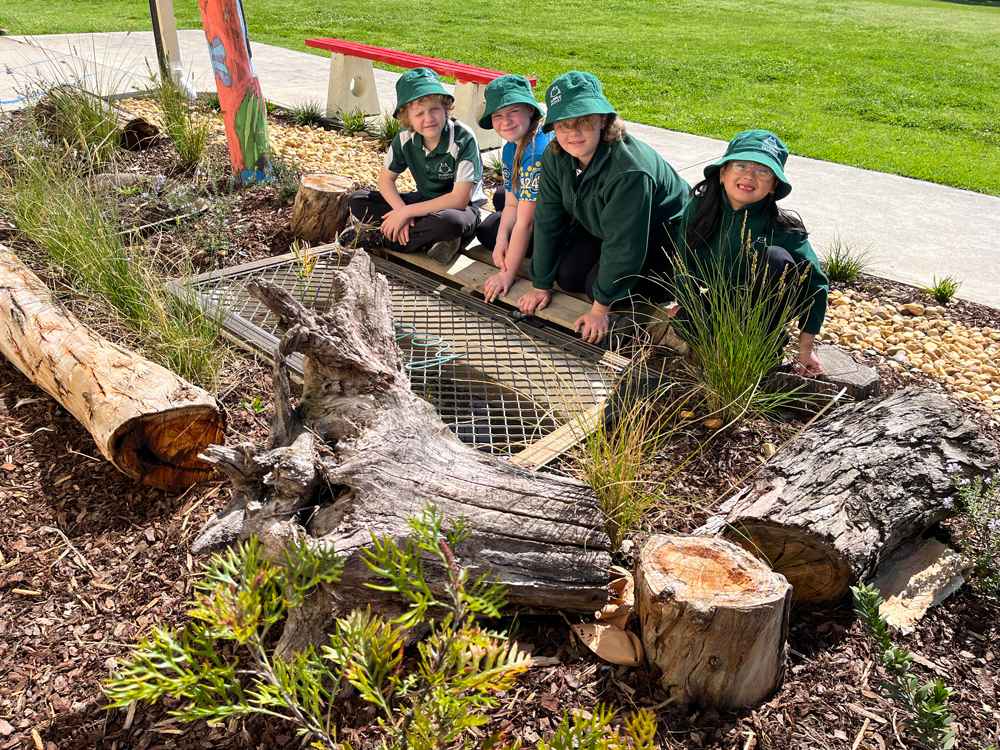 Wurruk Primary School students Hamish Thomas (from left), Phayton Corbett, Sophie Tocknell and Zia Pagatpat check to see what’s in the Wurruk Frog Bog.