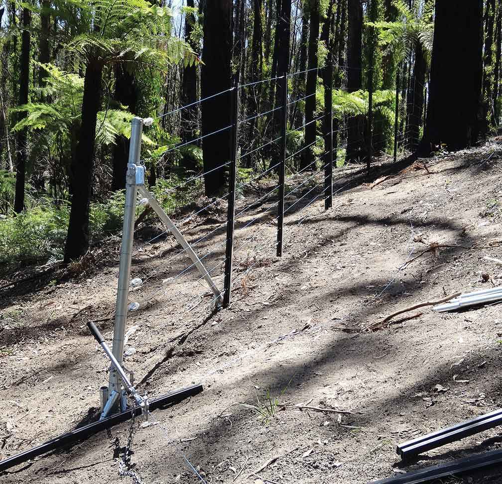 A section of the deer exclusion fence constructed around the fern gully.