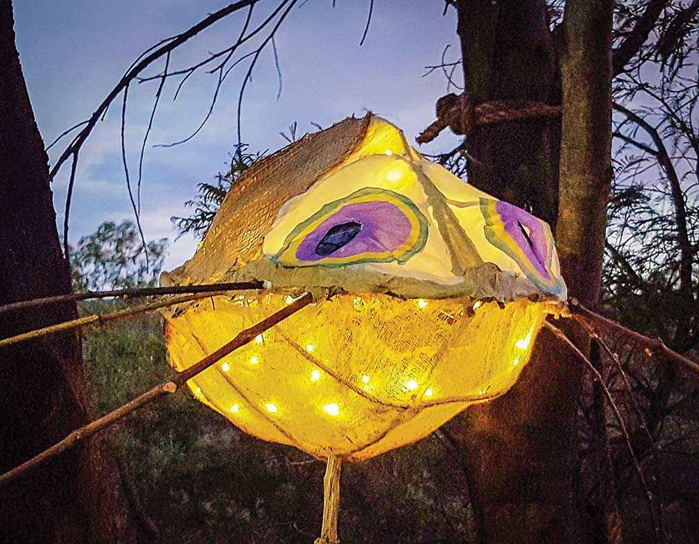 One of the 100 waterbug sculptures that lit the way on the evening launch of The Poet’s Walk in 2019.