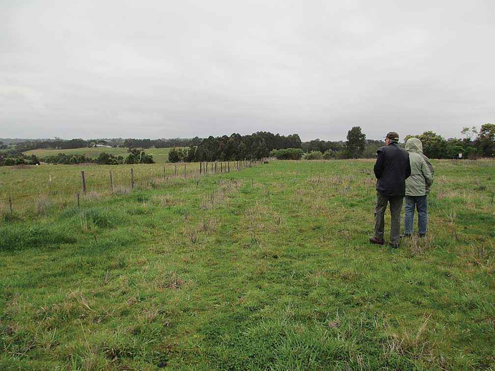 Michael Oxer and Sue Peirce from the Nicholson River Landcare Group survey the empty paddock before work commenced in 2016.