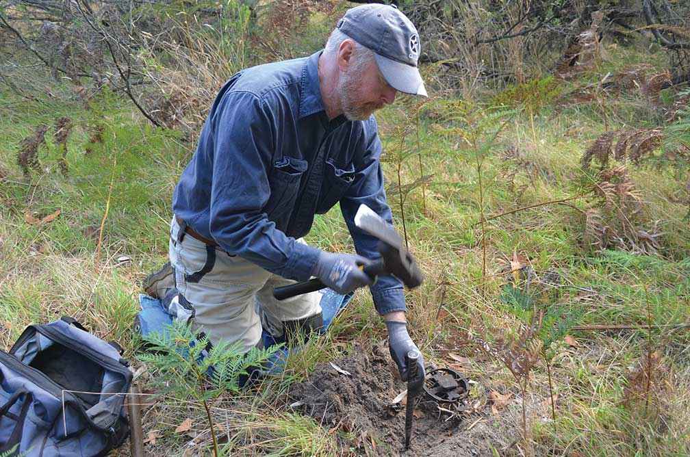 Peter Wright setting up a soft-jaw fox trap at Venus Bay in March 2021. 