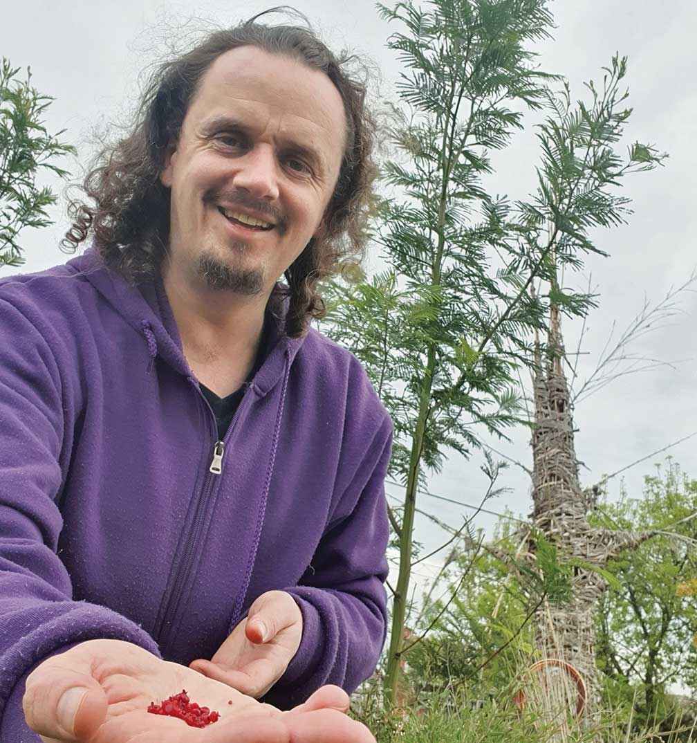 Matthew Odgers from the Links Community Group with a nodding saltbush planted during the revegetation of a rail reserve at Lalor. In Aboriginal culture the fruit is eaten and used as dye and face paint.