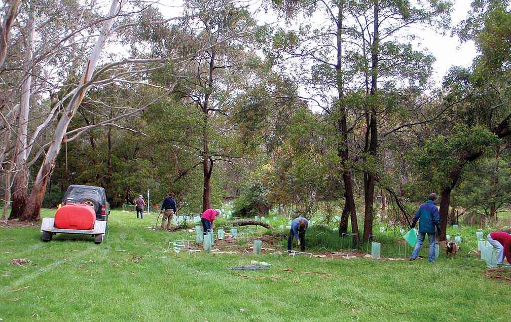 A Newham and District Landcare Group planting day at Hanging Rock.