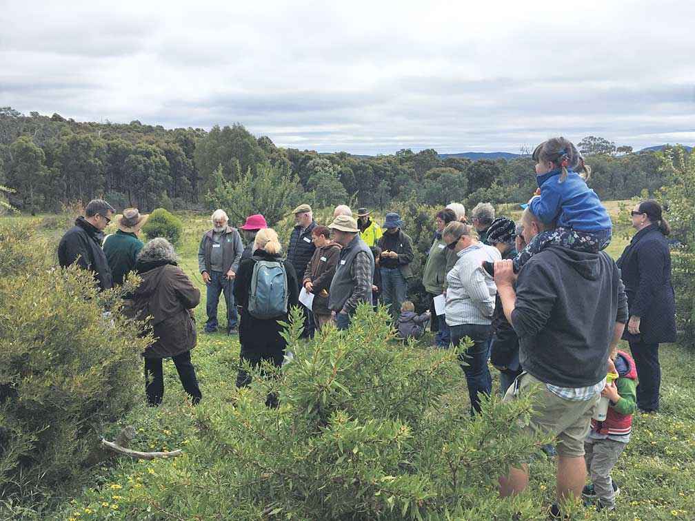 Newham and District Landcare Group members inspect biodiversity plantings at the ‘Kolora’ property in 2019.