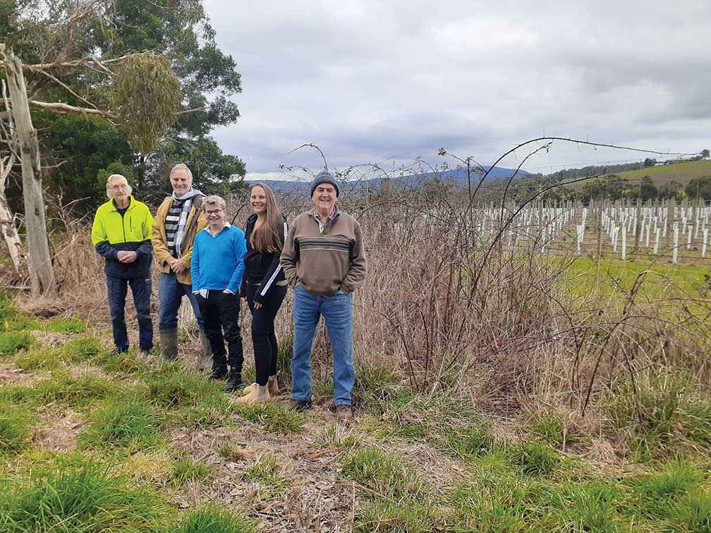 Dixons Creek Landcare Group members stand near a treated outbreak of blackberry on the boundary with a local vineyard on Melba Highway north of Yarra Glen.