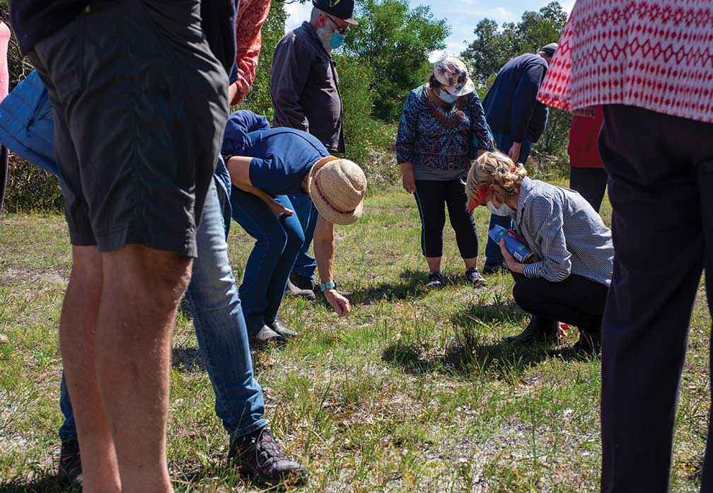 Tarwin Landcare Group members orchid spotting at Tarwin Cemetery in November 2021. The South Gippsland Conservation Society keeps an updated plant list for this site which is rich in native flora.