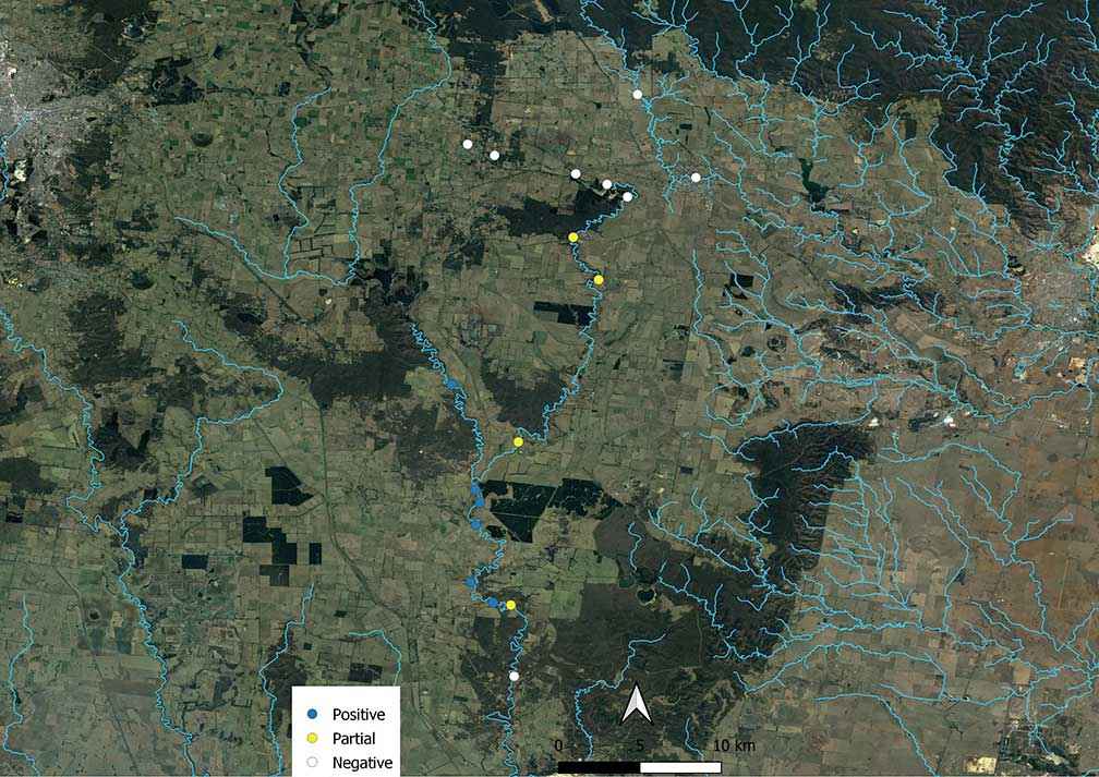 Results from eDNA sampling in the MCLG area. Blue is positive detection for platypus, yellow is partial and white is no-detection. 