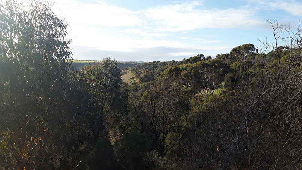 After: A thirty-year Landcare project has transformed Kaye and Brent Rodden’s property.