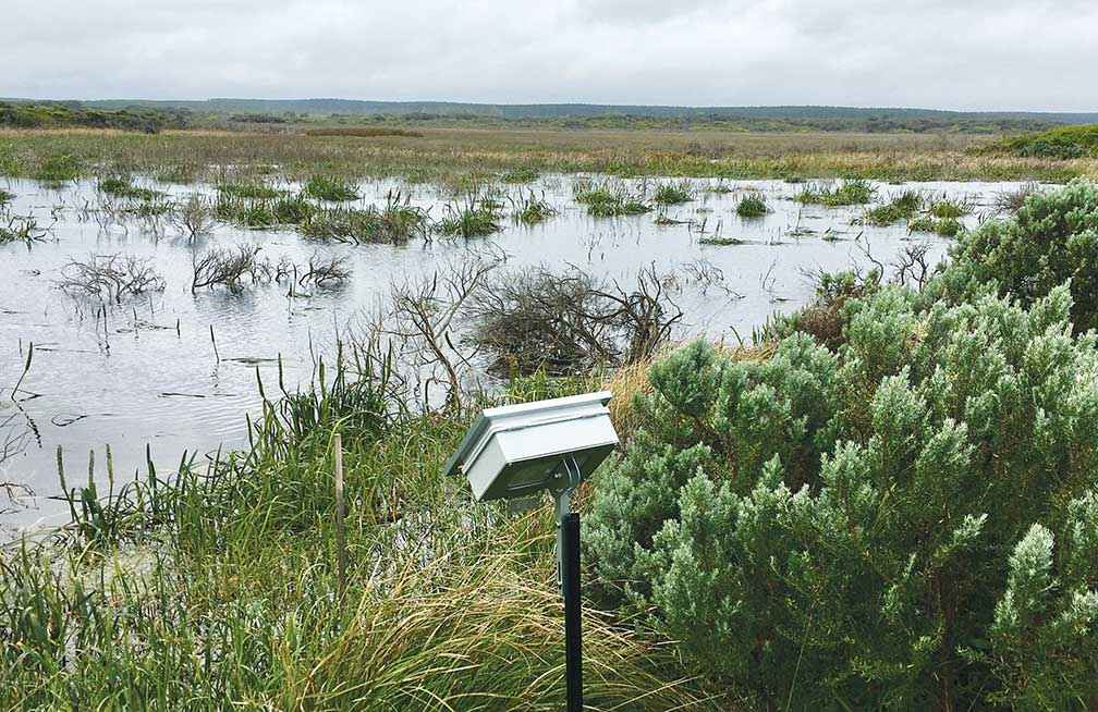 A listening post established by volunteers to monitor the unique soundscape of Long Swamp, <br />
near the mouth of the Glenelg River in Victoria. <br />
