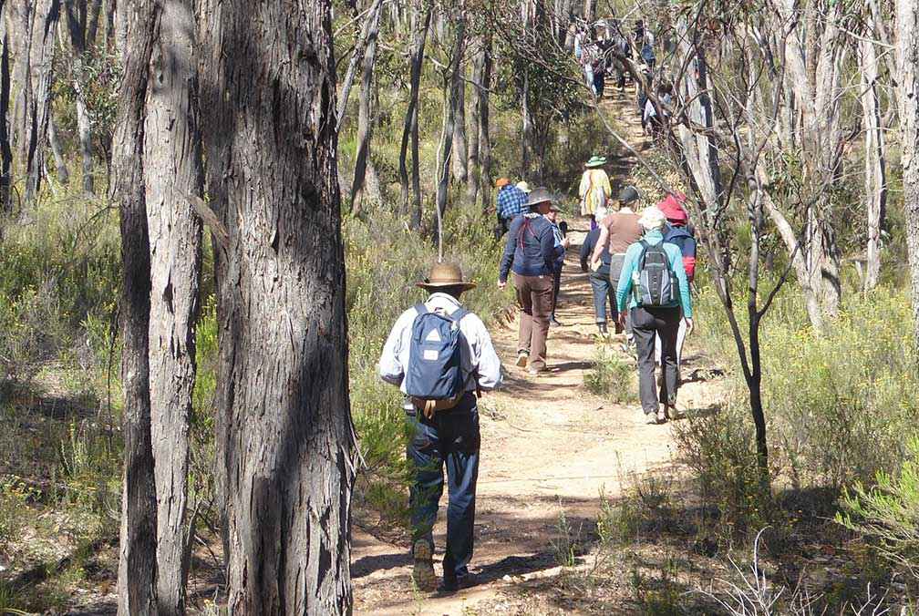 Djaara bird walk participants walking through Kalimna Park in Castlemaine.