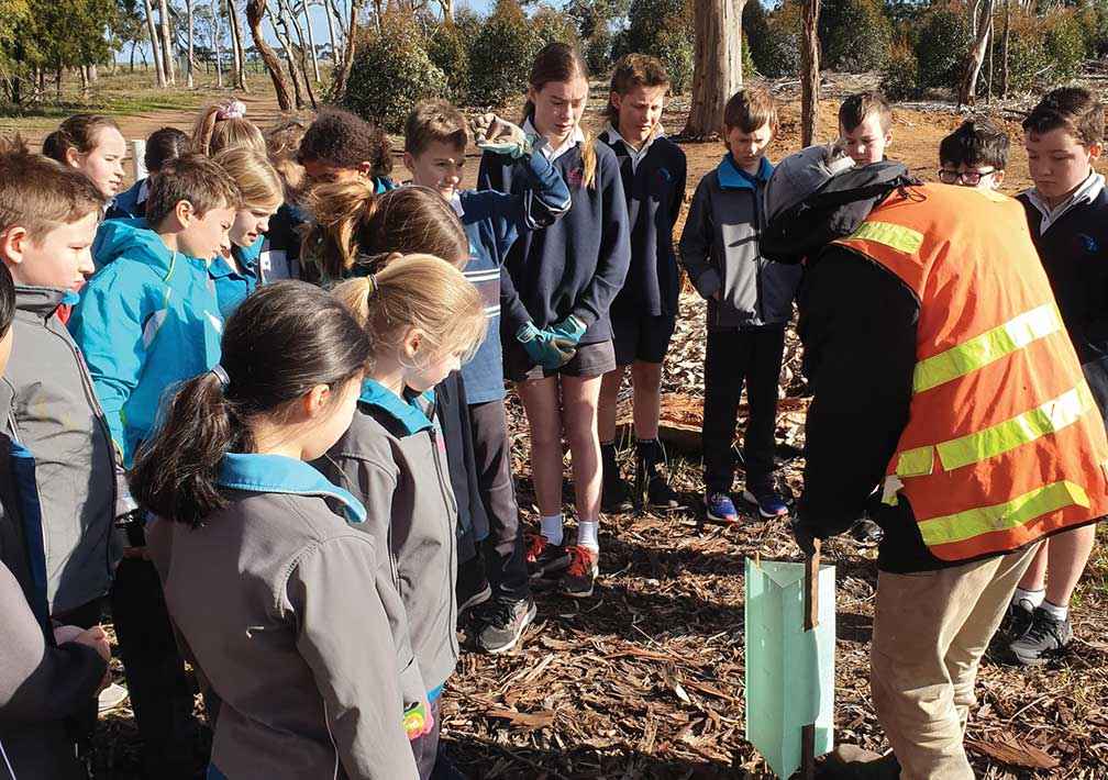 Stuart McCallum from Friends of Bannockburn Reserve demonstrates tree planting skills to students from St Mary MacKillop Primary School.