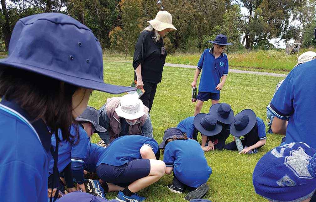 Friends of Daly Nature Reserve guide students in their hunt for tiny carnivorous sundew blooms.