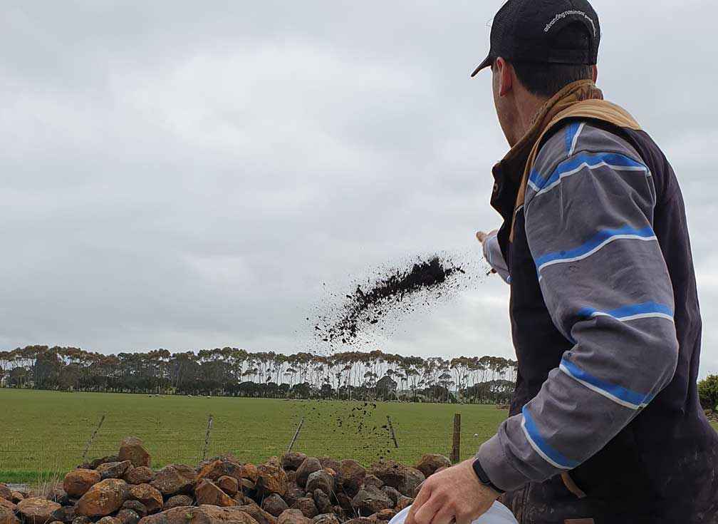 James Glasgow direct hand seeding a self-funded shelterbelt on former cropping land at Warrong. The rocks were dragged out of the paddocks when it was cropped by a past owner. The site is now fenced for habitat. 