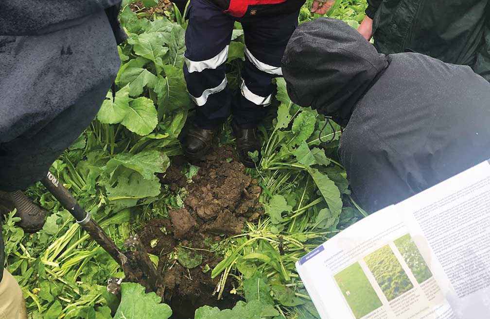 A Heytesbury District Landcare Network multispecies field day on activating soil biology near Colac in May 2021.