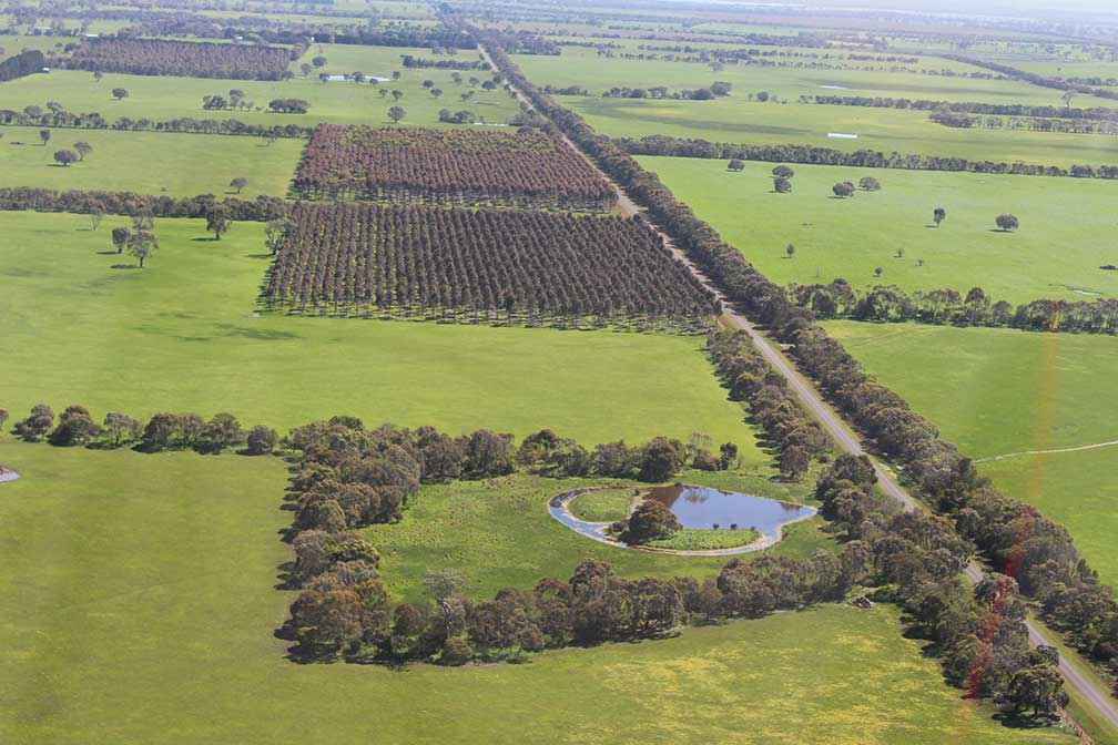 The Blackwell family has transformed Corea, fencing off waterways and planting more than 300,000 trees and shrubs.