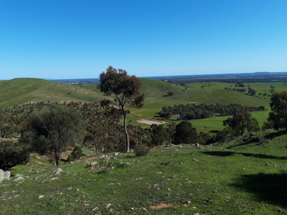 Before and after: Tens of thousands of trees have been planted at Glendhu Station since the 1990s