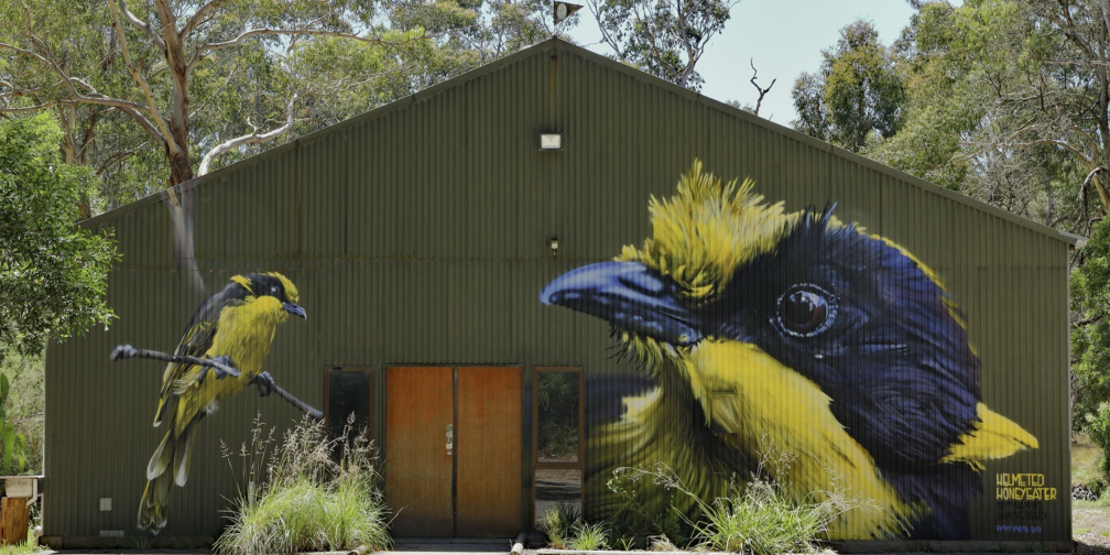 Helmeted Honeyeater mural in Yellingbo, by artist Jimmy Dvate.
