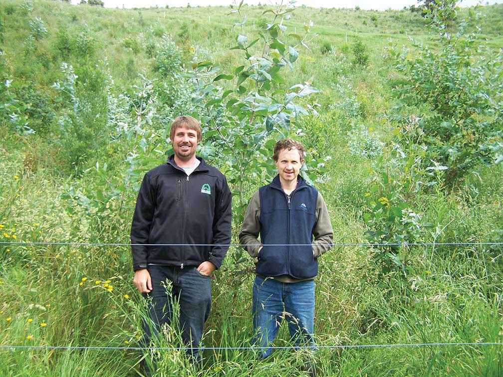Dave Bateman (left) and Geoff Trease inspect innovative revegetation on Lyn Herbert’s property established with pre-germinated direct seeding.