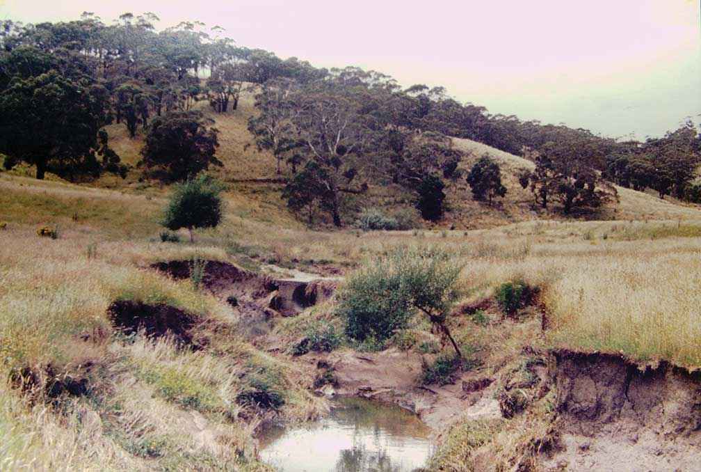The eroded creek in 1987.