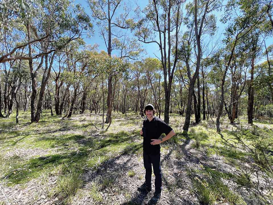 Jackson Cass surveying koalas in Brisbane Ranges National Park.