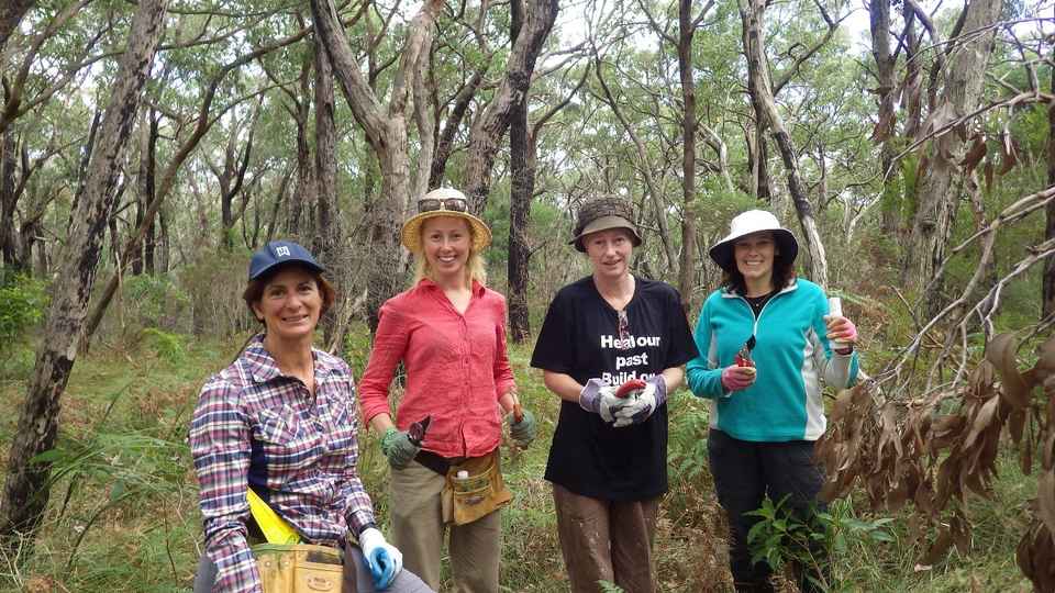 Sheepwash Creek Landcare Group (Mornington Peninsula) — Victorian