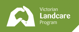 VLG Logo.png