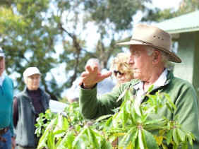 john-wilson-with-pittosporum.jpg