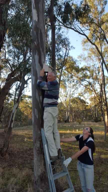 Alan and Kylie Nest Boxes.jpg