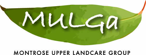 Mulga_Logo_LINE.jpg