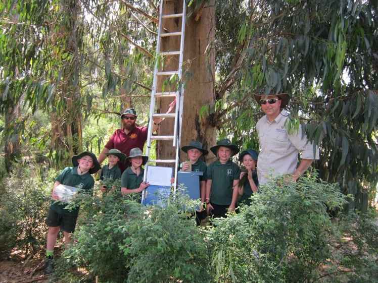 kinglake landcare.jpg
