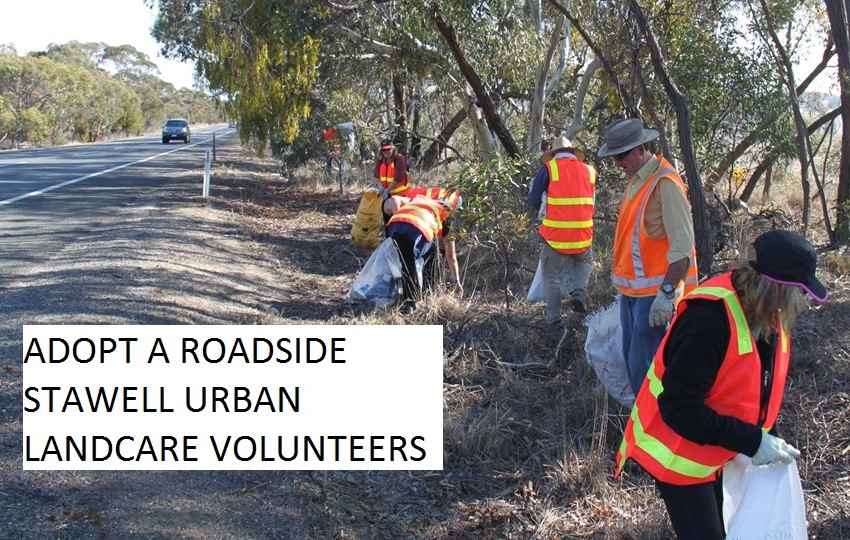 AaR sulc volunteers.jpg