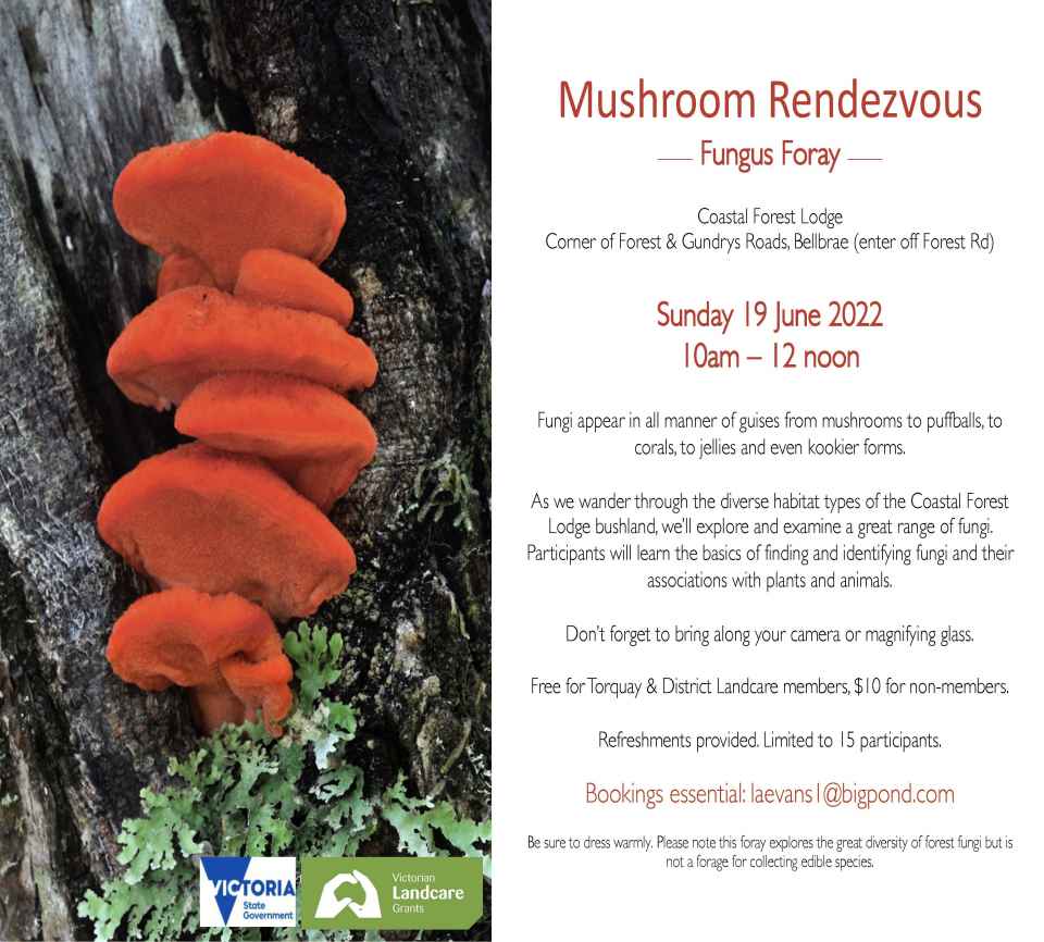 Mushroom_Rendezvous_Flyer_2022.jpg