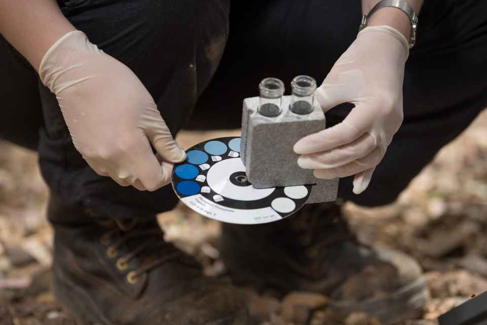 Waterwatch Images Large Dec 13 2016 (48 of 175).jpg