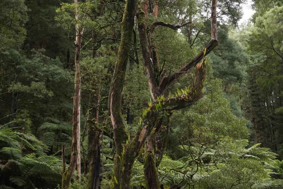 Allambee Community.jpg