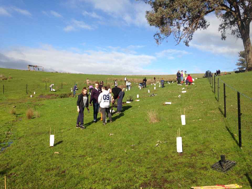 NTD 2017_website image.jpg