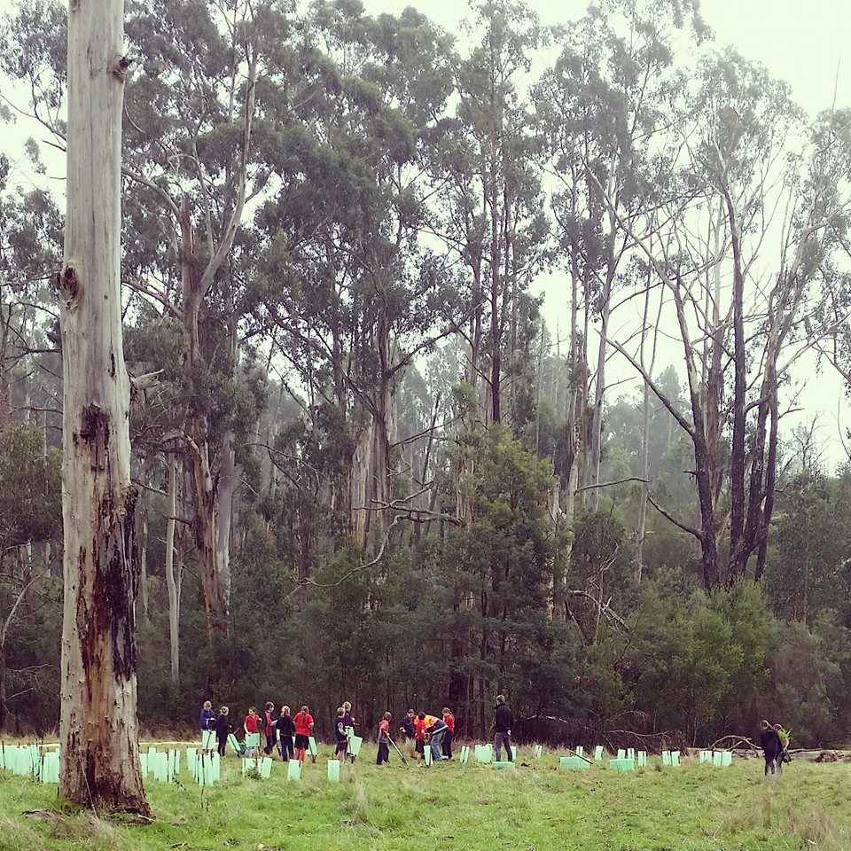 Boolarra South Landcare Group — Victorian Landcare Gateway