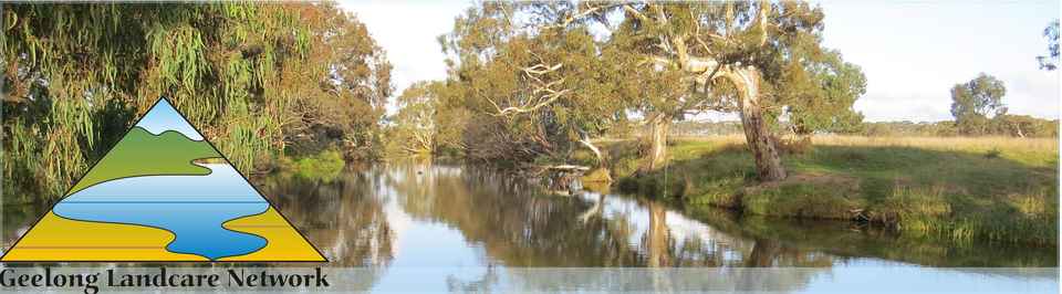 GLN banner - mailchimp.jpg