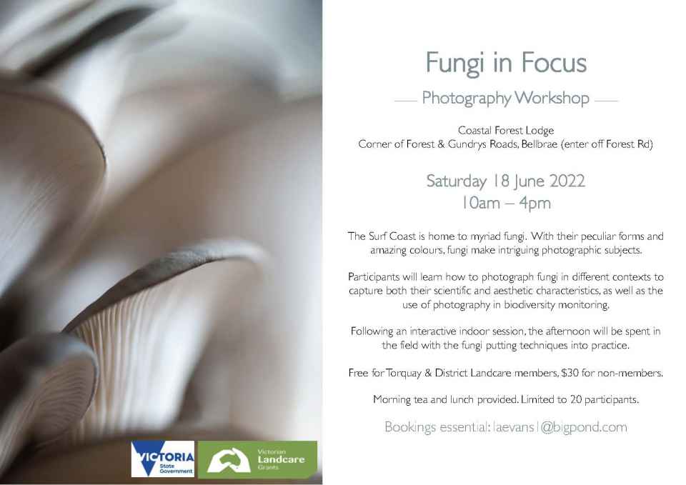Fungi_in_Focus_Workshop_Flyer_2022.jpg