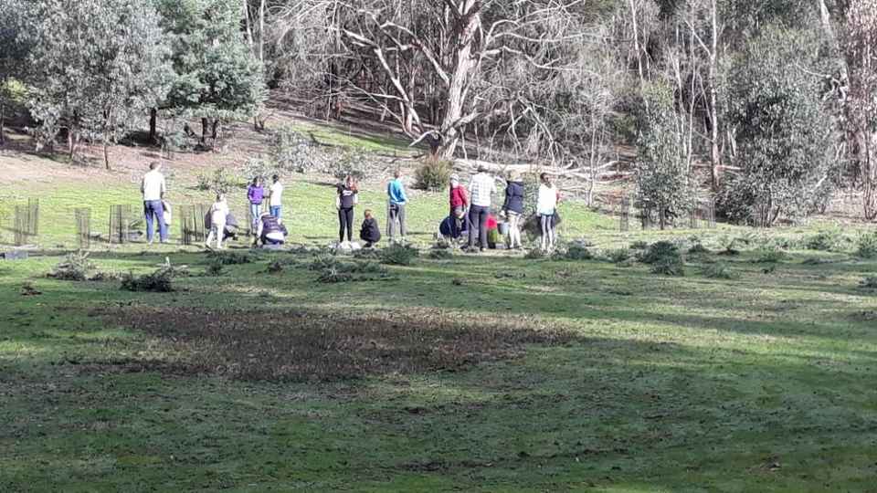 ntd 2019  eb (3).jpg