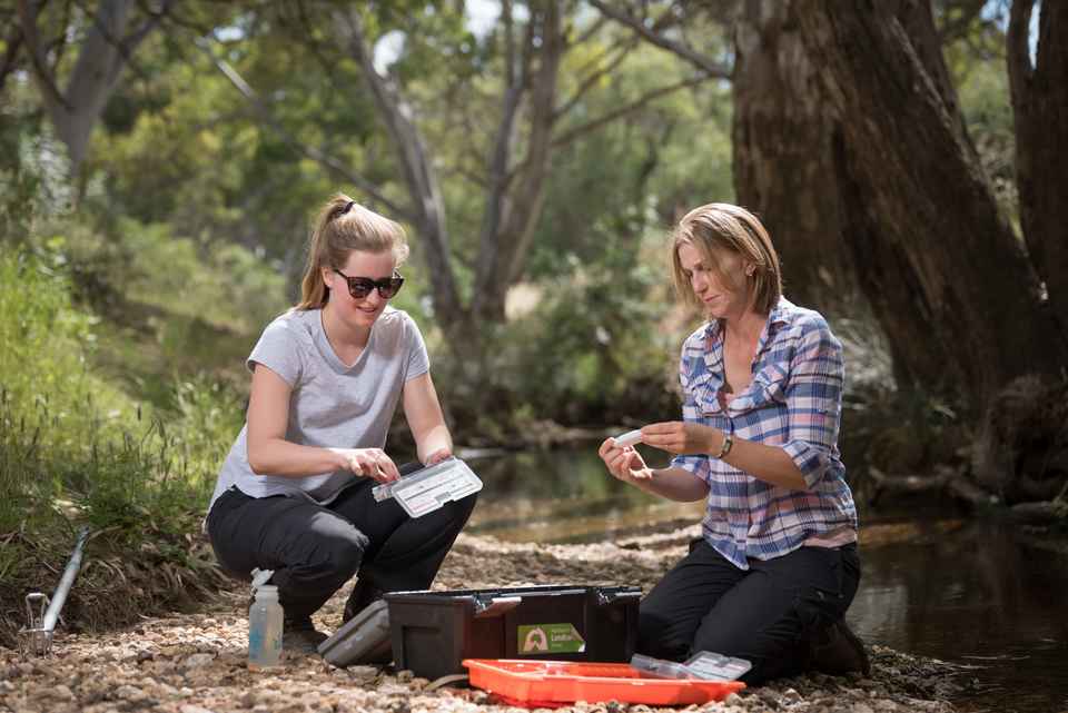 Waterwatch Images Large Dec 13 2016 (35 of 175).jpg