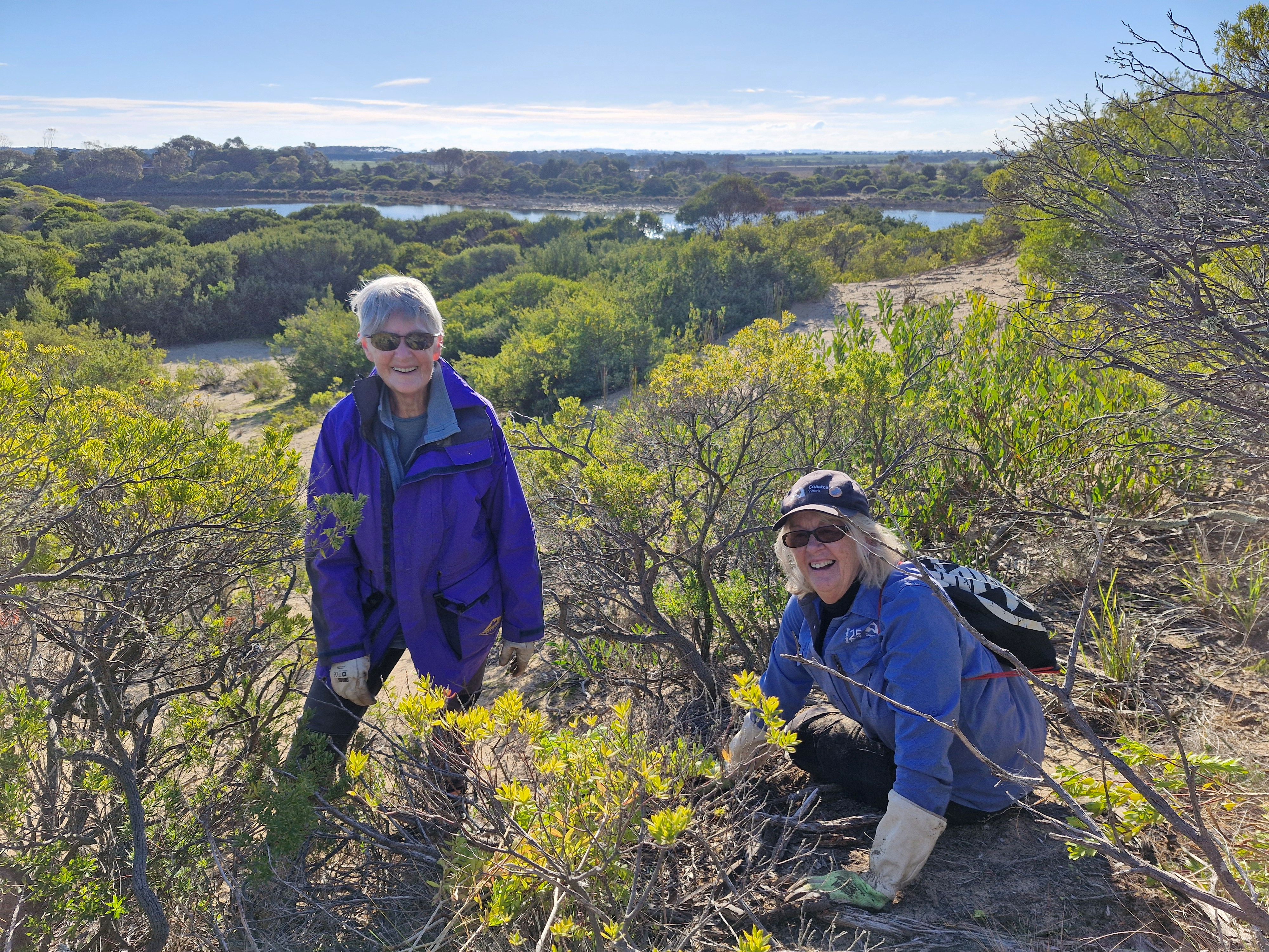 Breamlea Coastcare Ann and Lorraine July25