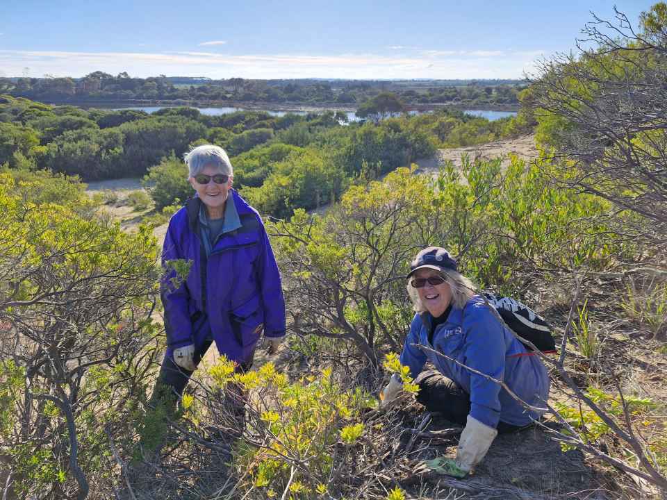 Breamlea Coastcare Ann and Lorraine July25