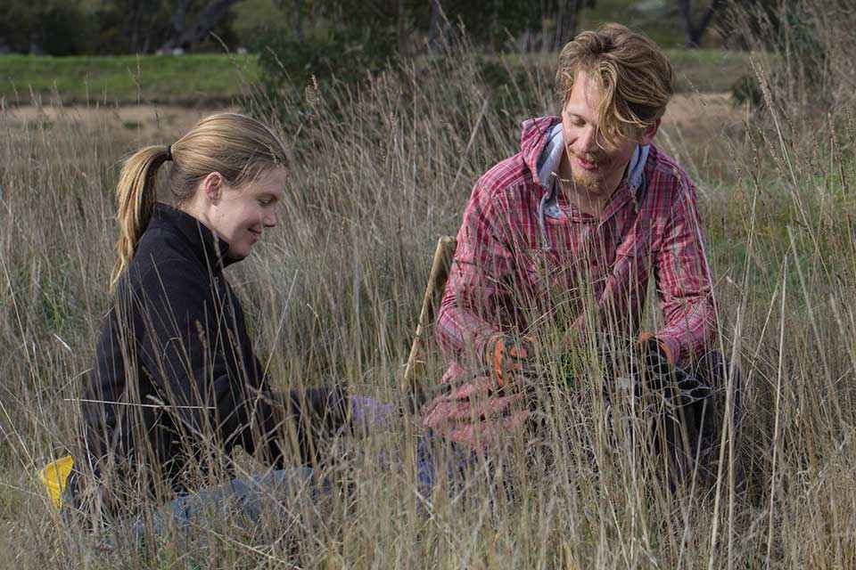 p18 AlexandVanessa hero